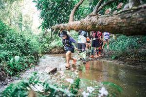 BIB: 
                            <button type="button" onclick="openModal(25517360)" class="btn btn-primary btn-sm float-right btn-popup" data-toggle="modal" data-target=".modal-high-quality">
                        <i class="fas fa-shopping-cart"></i> Add to Cart
                    </button>
                                            <button type="button" onclick="isThisMe(25517360, true)" class="btn btn-success btn-sm float-right btn-popup btn-isme hidden" data-toggle="tooltip" data-placement="bottom" title="นี่คือรูปของคุณใช่ไหม คลิกที่นี่เพื่อเอาเข้าอัลบั้ม">
                        <i class="fas fa-plus"></i> Add to album
                    </button>
                    <button type="button" onclick="isThisMe(25517360, false)" class="btn btn-warning btn-sm float-right btn-popup btn-isnotme hidden">
                        <i class="fas fa-ban"></i> Remove from album
                    </button>